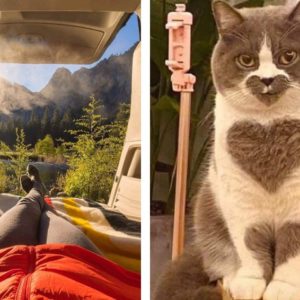 12 фотографий‑антистресс, которые успокоят ваш разум и заставят улыбнуться