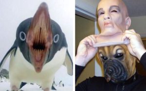 14 фотографий, в которых нет даже намека на адекватность