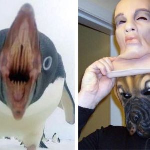 14 фотографий, в которых нет даже намека на адекватность