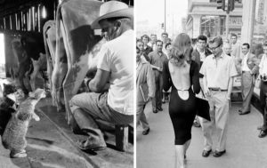 14 исторических фотографий, которые по-своему рассказывают о давно известных событиях