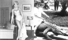 11 кадров из прошлого: история под совсем другим углом