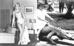 11 кадров из прошлого: история под совсем другим углом