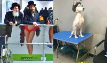12 фотографий для поднятия настроения, которые точно стоит увидеть