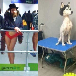 12 фотографий для поднятия настроения, которые точно стоит увидеть