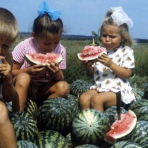 В СССР продавали самые сладкие арбузы? 9 интересных фактов
