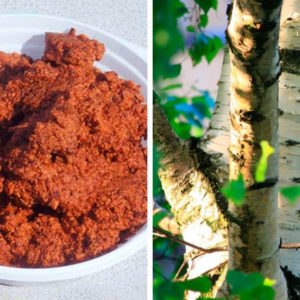 9 диких блюд Древней Руси: мы бы такое точно есть не стали