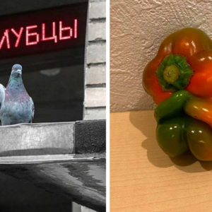 11 фото, которые позволил сделать его величество случай