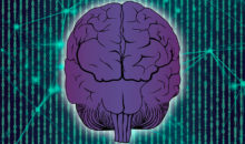 Тест: вы – часть интеллектуальной элиты, но только если сделаете 0 ошибок