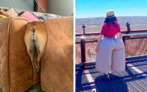 11 смешных ситуаций, которые вызывают непередаваемые эмоции