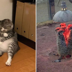 10 фото, на которых разворачивается драма не хуже голливудских сюжетов
