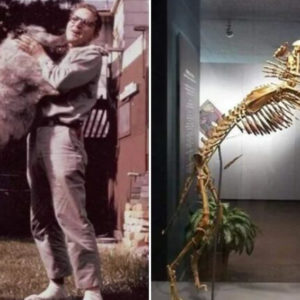 Невероятные события прошлого: 11 исторических фотографий