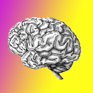 Тест: ваша интеллектуальная мощь поражает, если сделаете 0 ошибок