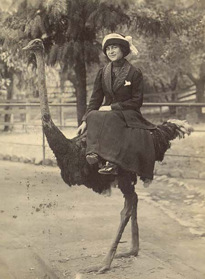 исторические фотографии