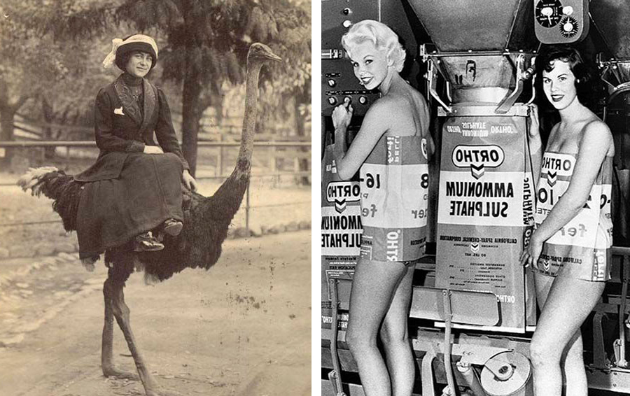 исторические фотографии