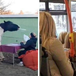 10 раз, когда людям повезло заснять кое‑что по‑настоящему удивительное