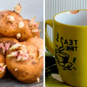10 вещей на кухне, которые выдают плохую хозяйку