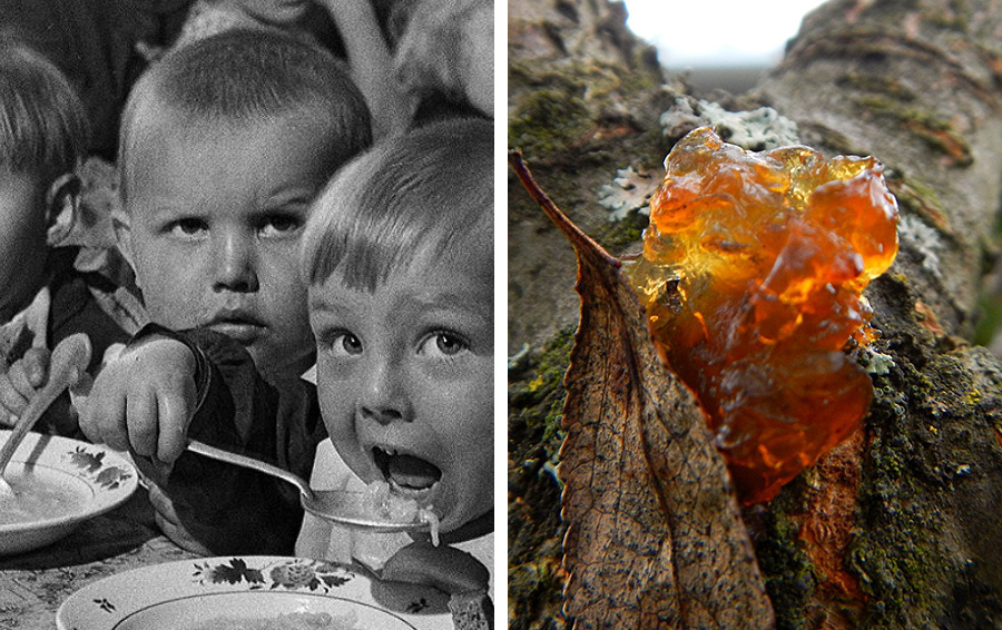 9 странных вещей, которые ели все советские дети