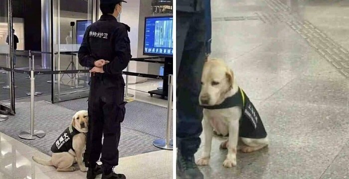10 животных которые своим примером показывают что жизнь это борьба