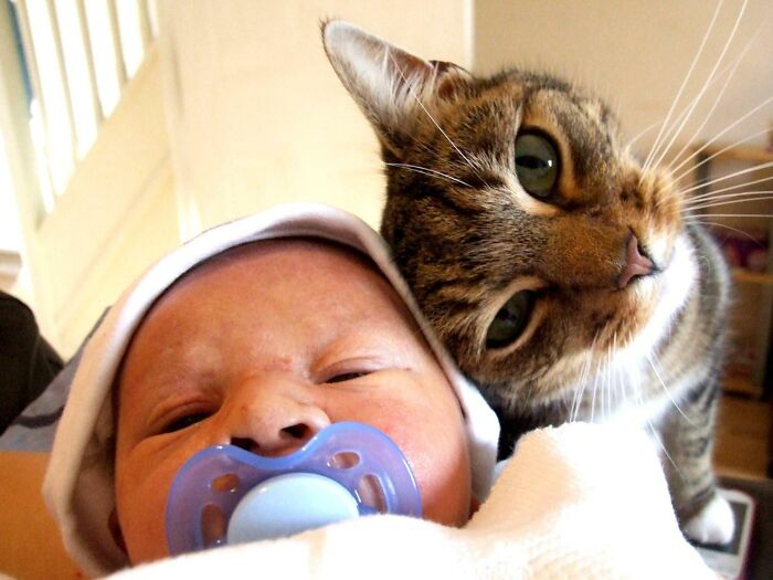 10 умилительных фото, доказывающих, что кошки тоже любят человеческих детенышей