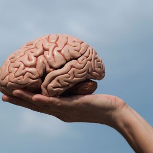 Тест: ваш мозг словно губка, поглощающая знания, если ответите на 100% верно