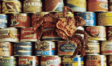 Загадочные консервы Советского Союза: 10 продуктов, которые сегодня кажутся странными