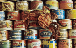 Загадочные консервы Советского Союза: 10 продуктов, которые сегодня кажутся странными