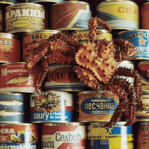 Загадочные консервы Советского Союза: 10 продуктов, которые сегодня кажутся странными