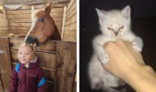 11 раз, когда людям удалось сделать такое фото, которое всем поднимает настроение