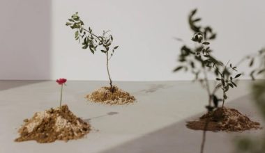 6 способов приучить себя копить деньги: процент, постоянство, психология