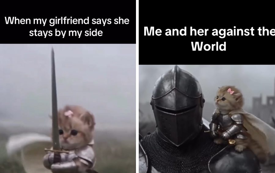 Фото: соцсети, кадры из видео - kitten.knight.plush мем котёнок в доспехах с мечом