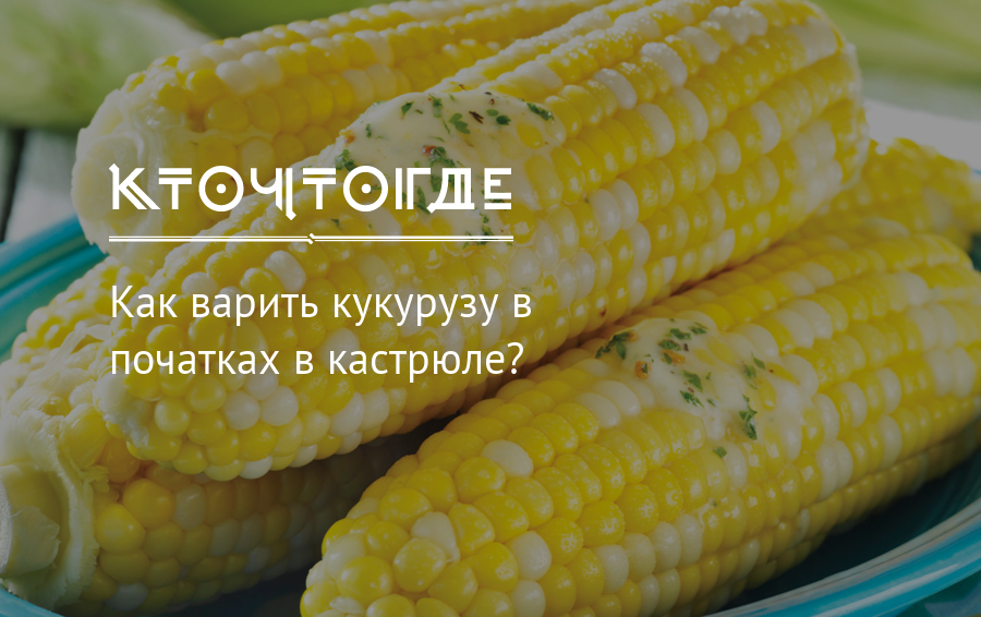 Сколько варить свежие початки. Отваренные початки кукурузы. Скольковариться кукуруза. Как правильно отварить кукурузу. Сколько варить кукурузу.