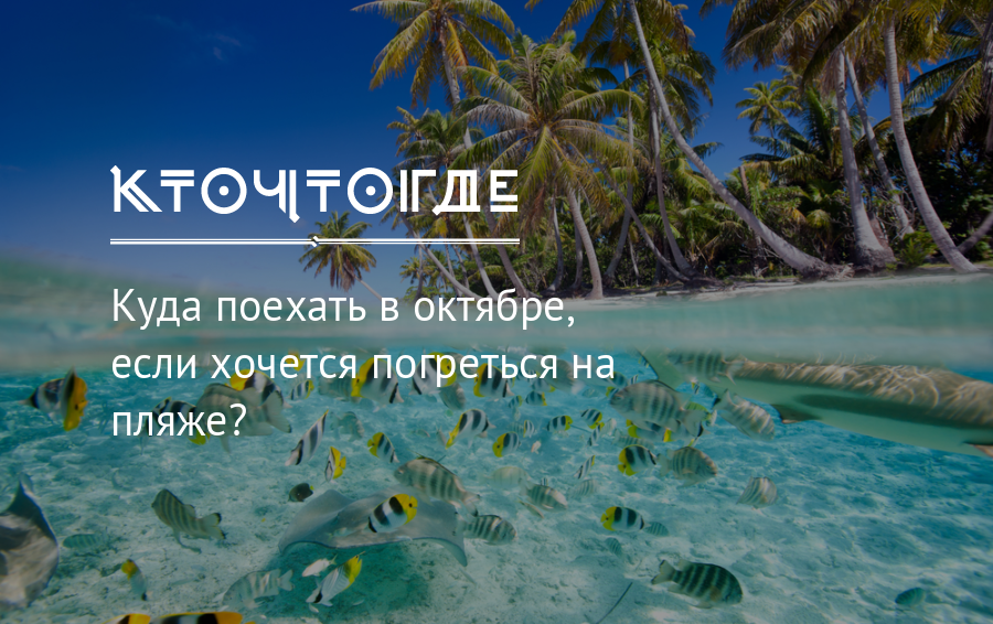 Куда поехать в октябре. Куда поехать на море. Куда съездить на неделю отдохнуть недорого. Баннер куда поехать.