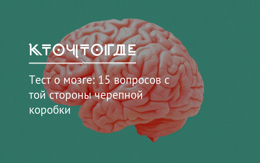 Тест мозга 4. Тест на мозг. Мозг с вопросом. Тест на мозги. Мозговые розы.