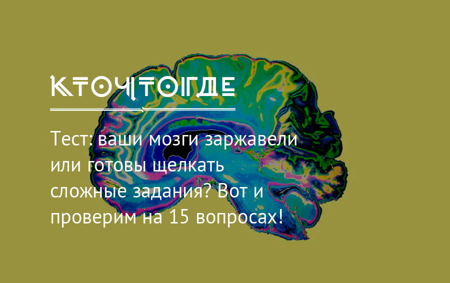 Твой мозг. Удивительные вещи творит ваш мозг. Удивительные вещи может творить ваш мозг. Наш мозг способен на удивительные вещи.